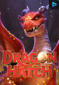 Bocoran RTP Dragon Hatch di RTP PIN4D